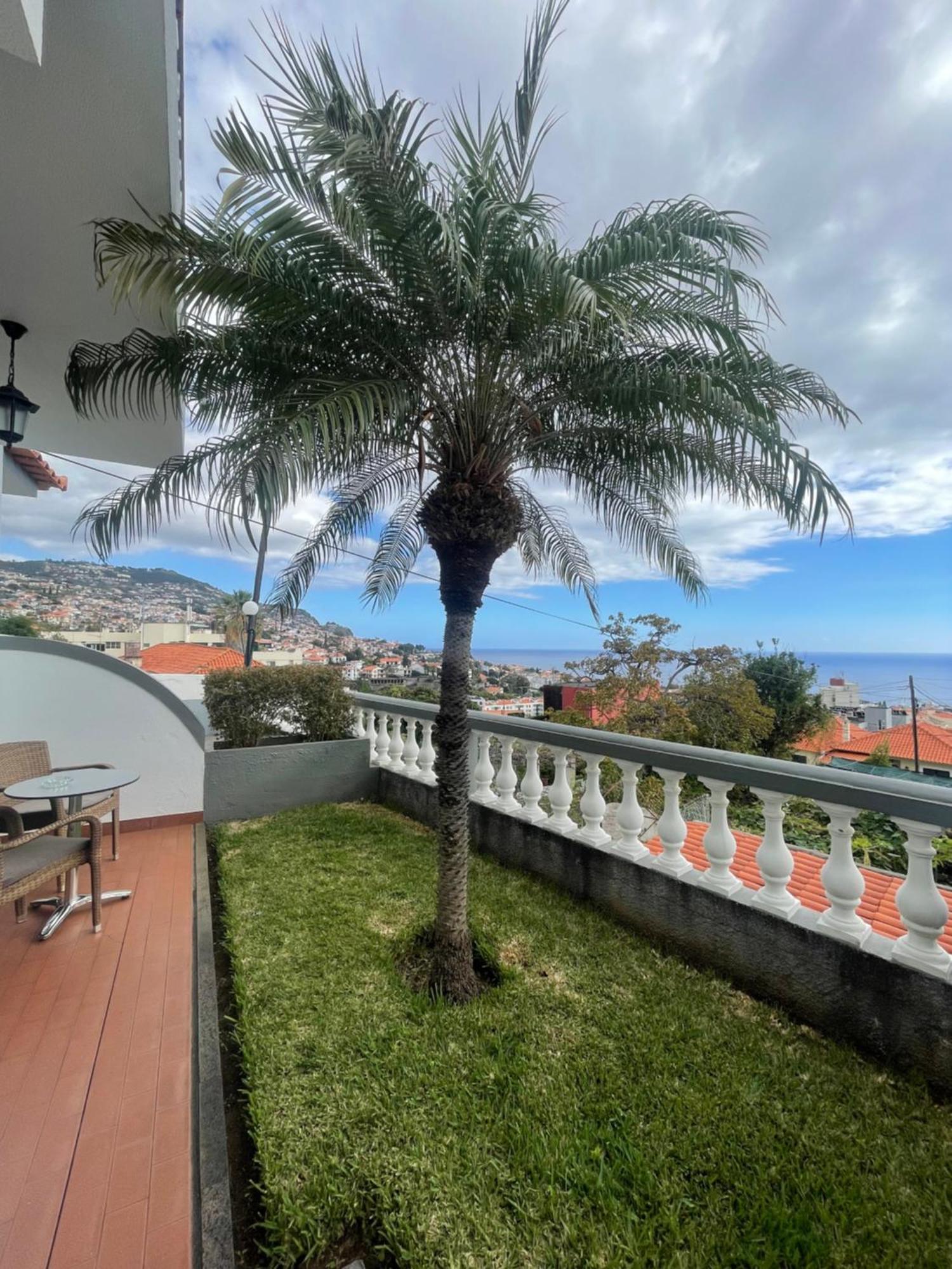 Valhalla Panorama - The Old Residencial Pina Funchal  Cameră foto